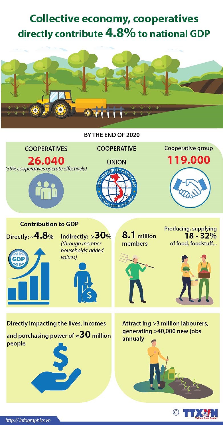 Collective economy, cooperatives directly contribute 4.8% to national GDP hinh anh 1