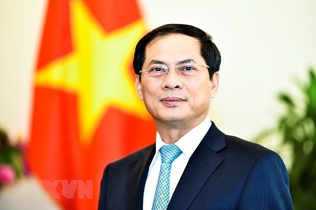 Int’l economic integration a bright spot in Vietnam’s external affairs: Deputy FM hinh anh 1