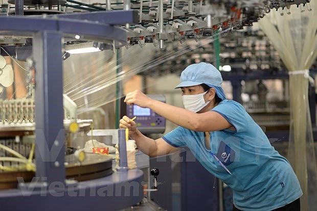 Industry remains fastest growing sector over last decade: Minister hinh anh 1
