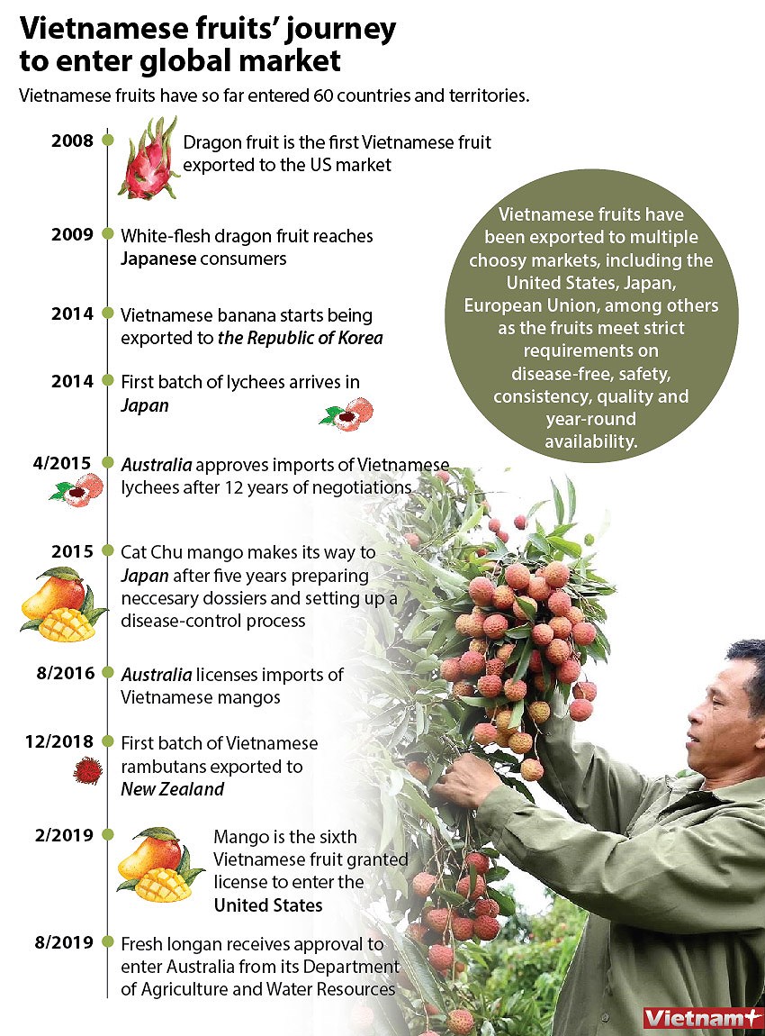 Vietnamese fruits' journey to enter global market hinh anh 1