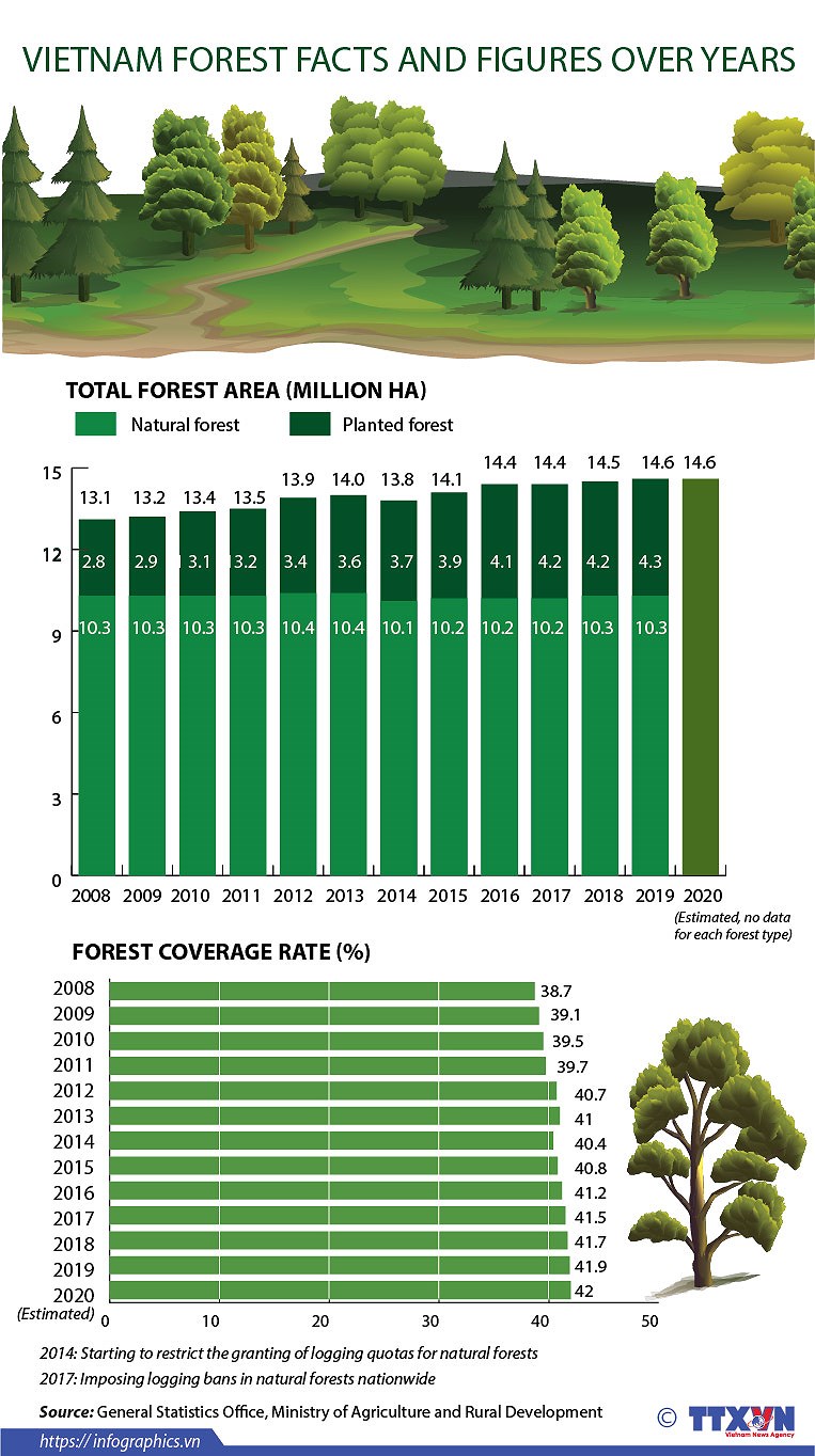 Vietnam forest facts and figures over years hinh anh 1