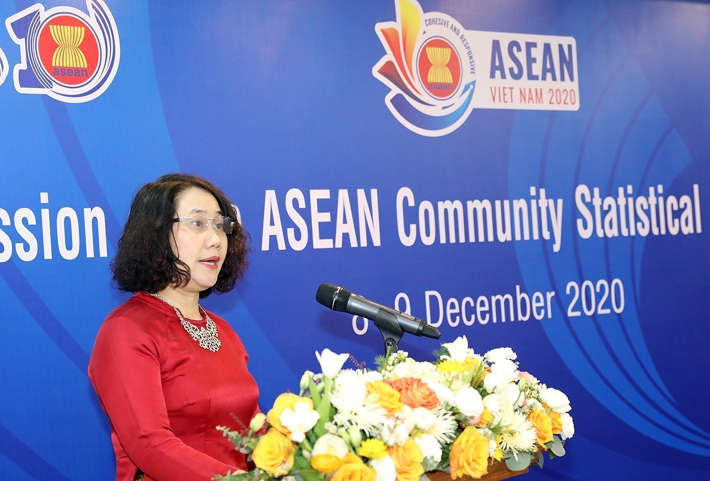 ASEAN 2020: 10th session of ASEAN Community Statistical System Committee hinh anh 2