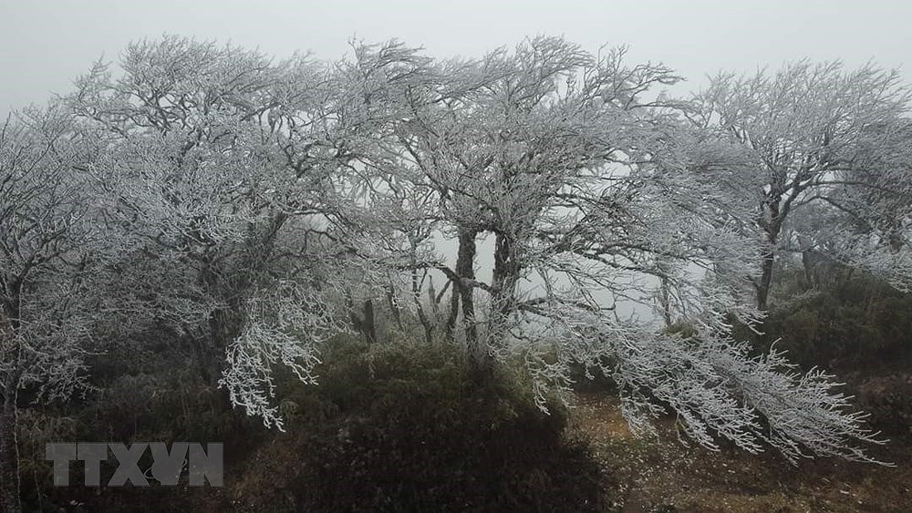 Northern mountain covered with ice as temperature drops to -9°C hinh anh 2