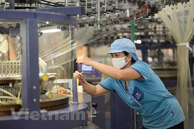 Scholar suggests measures for Vietnam’s sustainable economic growth hinh anh 1