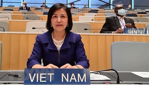 Vietnam highlights attainments in children, PWDs’ rights promotion hinh anh 1