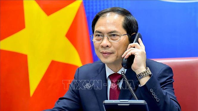 FM Bui Thanh Son holds phone talk with Chinese counterpart hinh anh 1