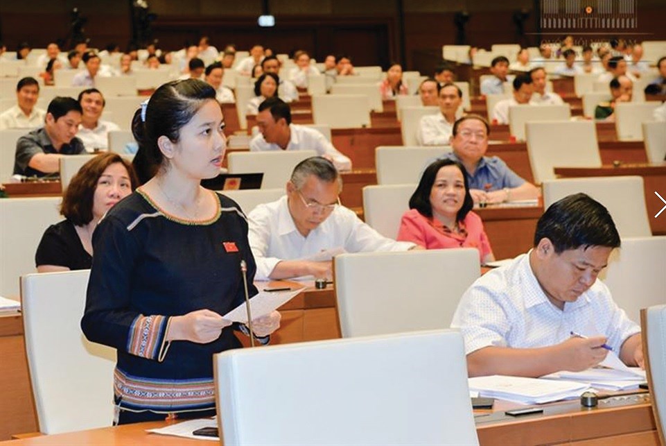 Vietnam plans to raise ethnic NA deputies to 18 percent hinh anh 1