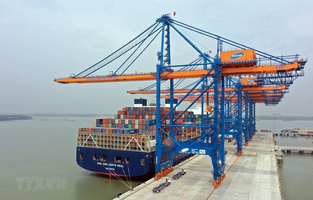 Container cargo growth in double digits this year hinh anh 1