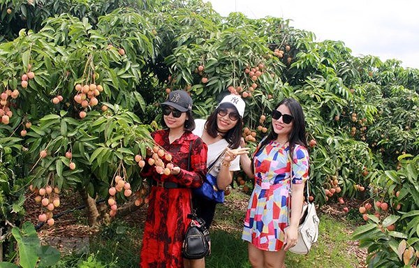 Bac Giang striving to foster community-based tourism development hinh anh 2