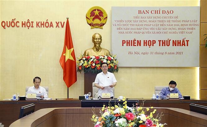 Law building and enforcement by 2030 debated hinh anh 1