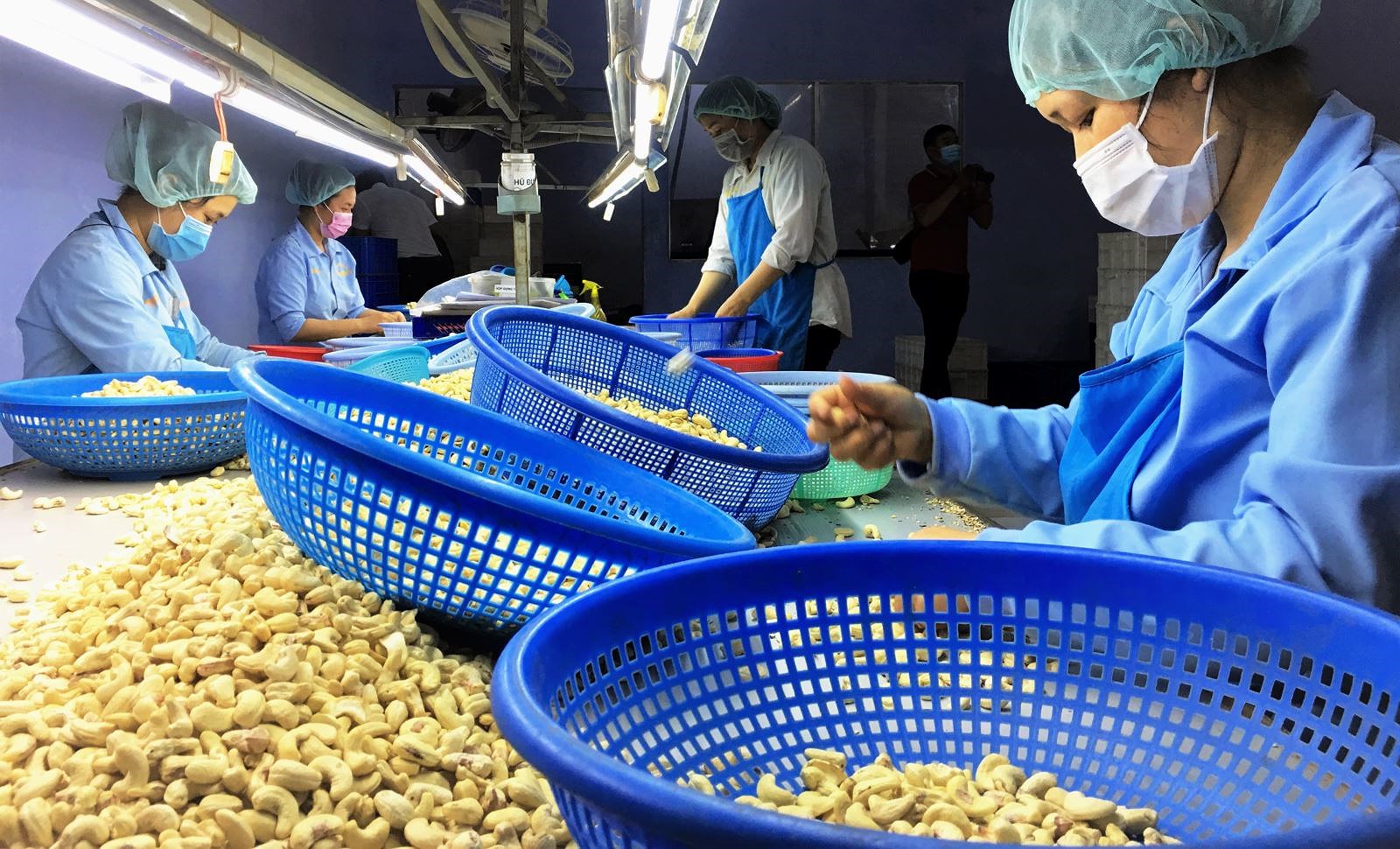 Vietnamese cashew nuts increase market’s share in Russia hinh anh 1