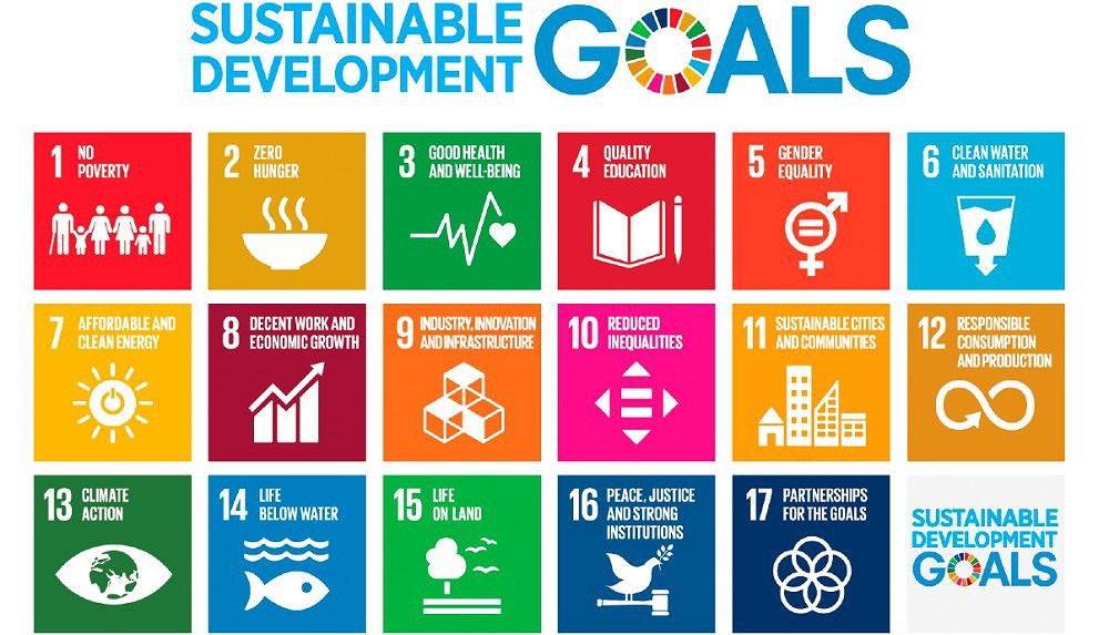 Vietnam needs stronger efforts to achieve SDGs: Workshop hinh anh 1
