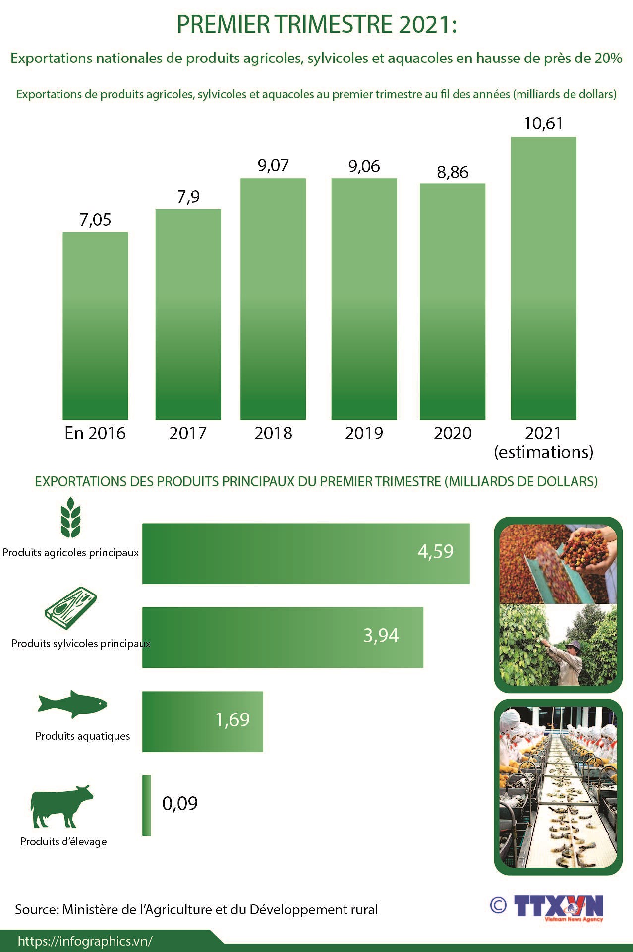 Exportations de produits agricoles, sylvicoles et aquacoles en hausse de 20% au 1er trimestre hinh anh 1