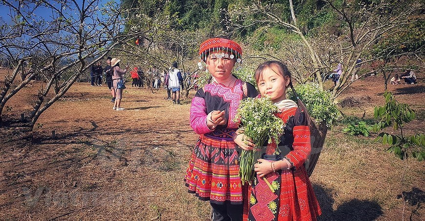 Les enfants des zones montagneuses du Nord-Ouest portent des couleurs printanieres hinh anh 6