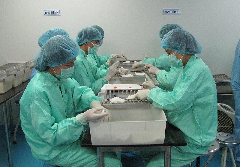 VABIOTECH teste un vaccin contre le COVID-19 sur des singes hinh anh 1