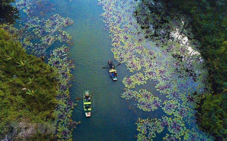 Ninh Binh - Le paradis des instagrammeurs hinh anh 7