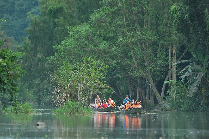 Parc ornithologique de Thung Nham, un site pour les amateurs d'oiseaux hinh anh 2