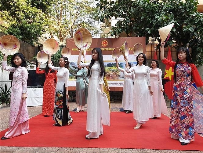 Promouvoir une passerelle culturelle entre le Vietnam et l’Egypte hinh anh 5
