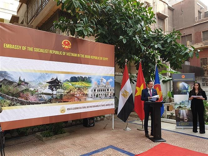 Promouvoir une passerelle culturelle entre le Vietnam et l’Egypte hinh anh 7
