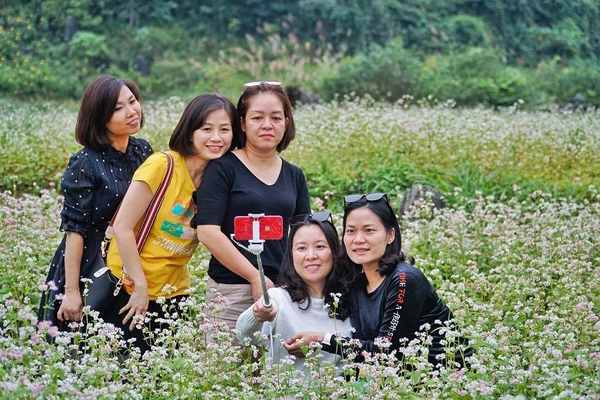 Champs de fleurs de sarrasin: un site incontournable pour prendre de photos a Ha Giang hinh anh 4