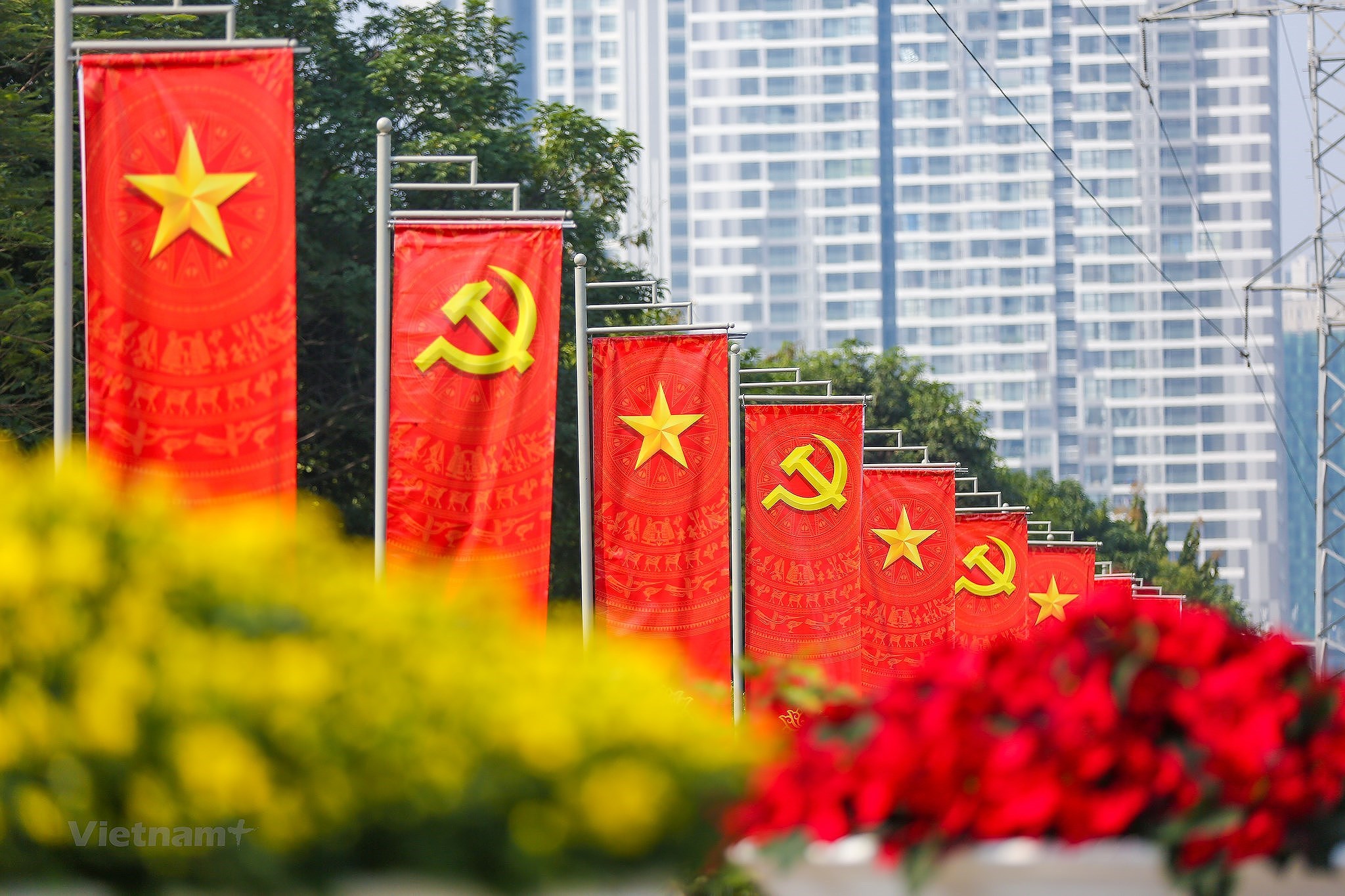 Hanoi se pare des couleurs du drapeau pour accueillir le 13e Congres national du Parti hinh anh 25