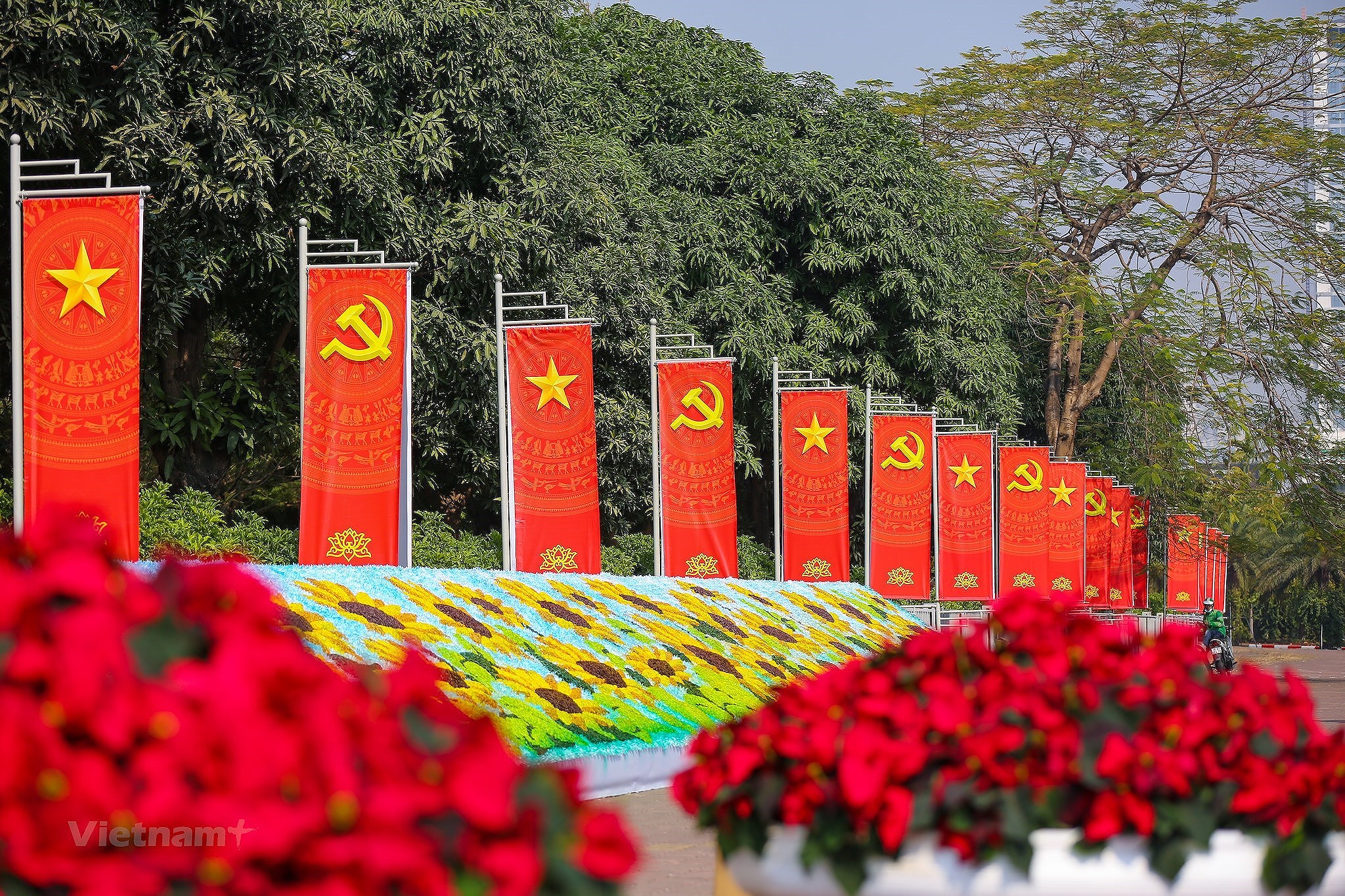 Hanoi se pare des couleurs du drapeau pour accueillir le 13e Congres national du Parti hinh anh 28