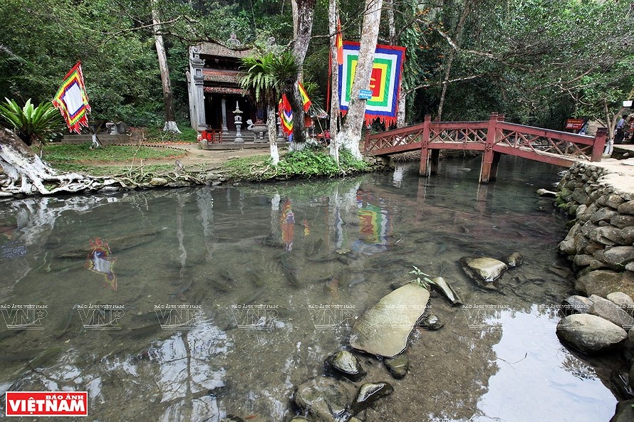 Le ruisseau aux poissons du village de Ngoc hinh anh 1