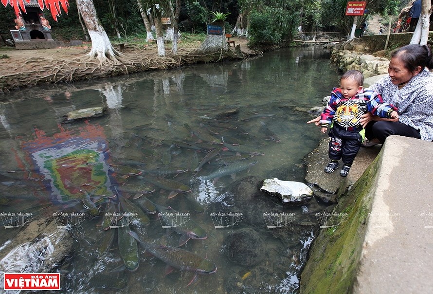 Le ruisseau aux poissons du village de Ngoc hinh anh 2