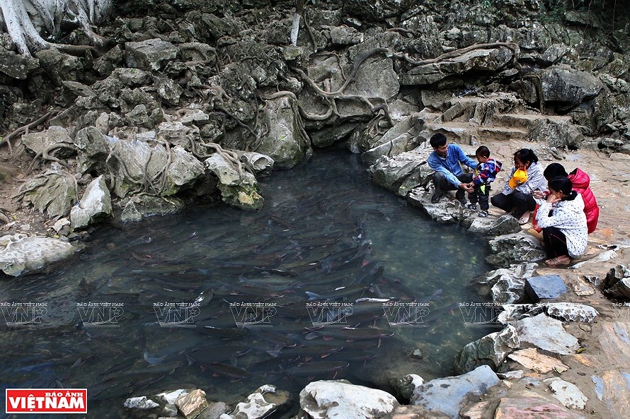 Le ruisseau aux poissons du village de Ngoc hinh anh 6