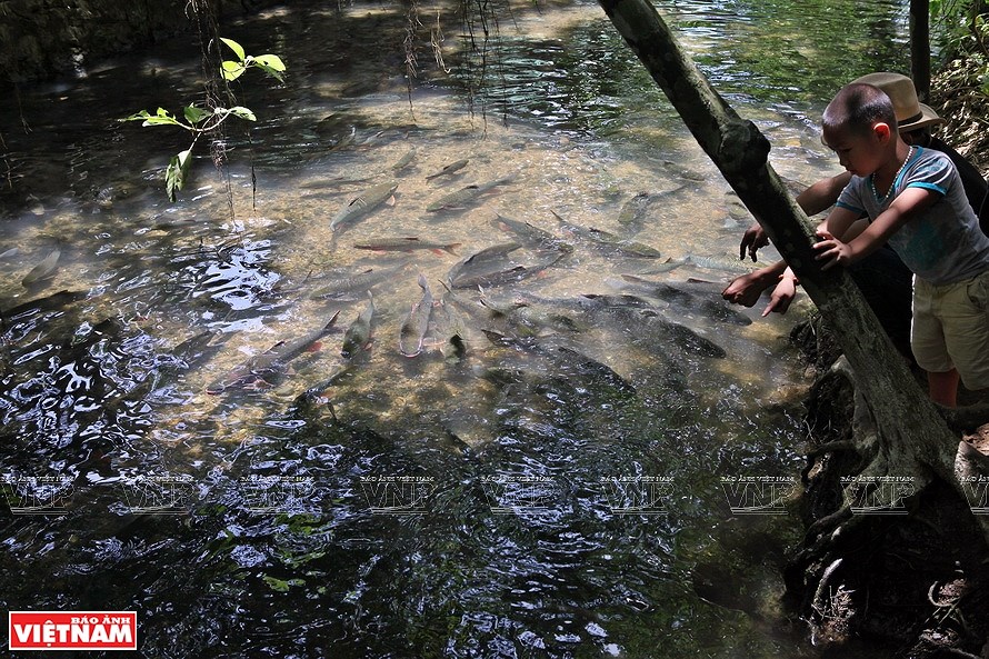 Le ruisseau aux poissons du village de Ngoc hinh anh 7
