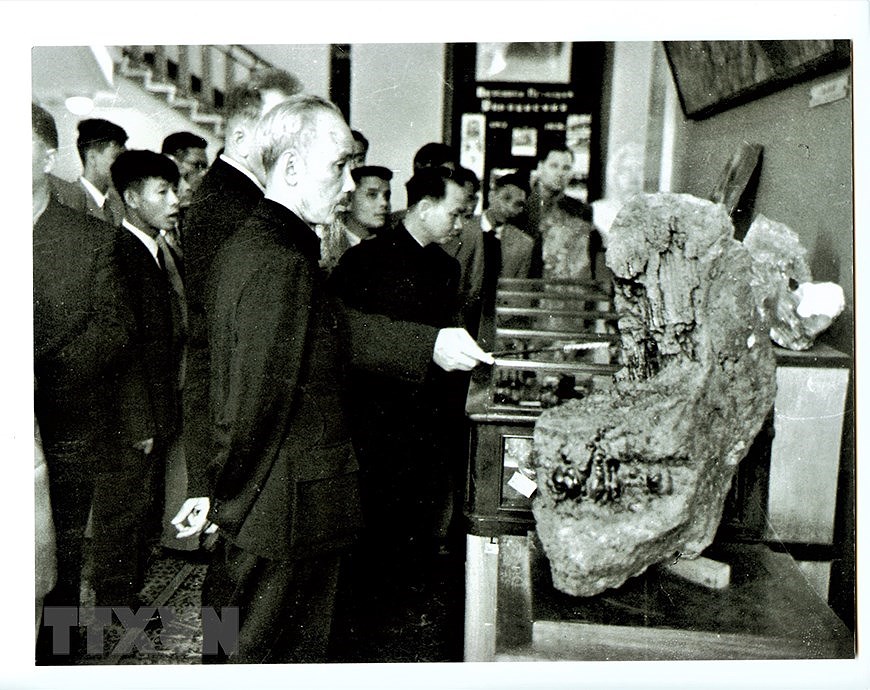 По стопам дяди Хо во время официального визита в Советскии Союз hinh anh 5