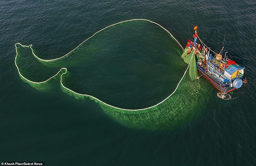 Завораживающие фотографии рыболовных сетеи в водах Вьетнама с высоты птичьего полета hinh anh 3