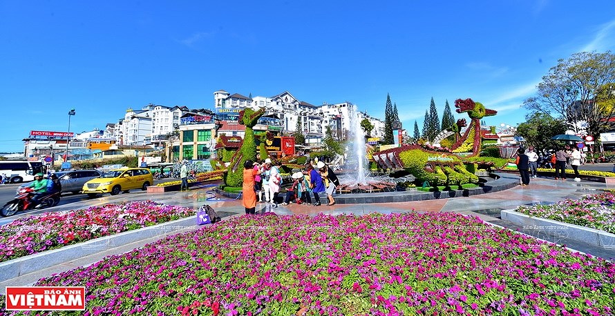 Далат – «столица» по экспорту цветов hinh anh 5
