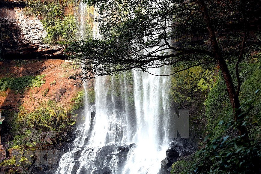 Дикая красота водопада Дамбри в проывинции Ламдонг hinh anh 4