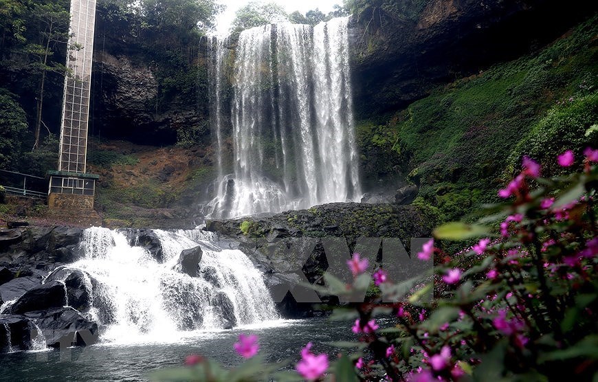 Дикая красота водопада Дамбри в проывинции Ламдонг hinh anh 5
