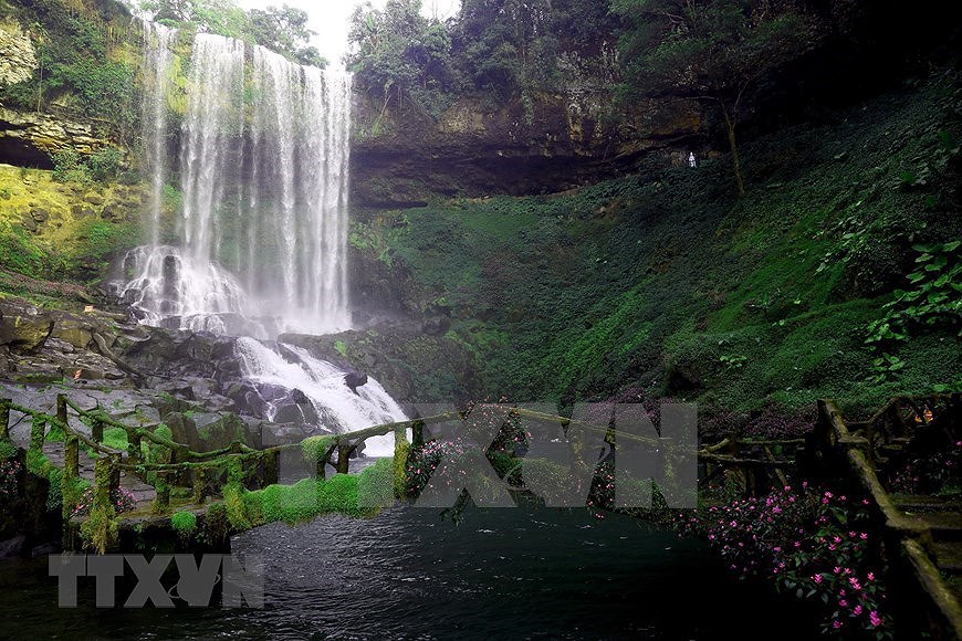 Дикая красота водопада Дамбри в проывинции Ламдонг hinh anh 2