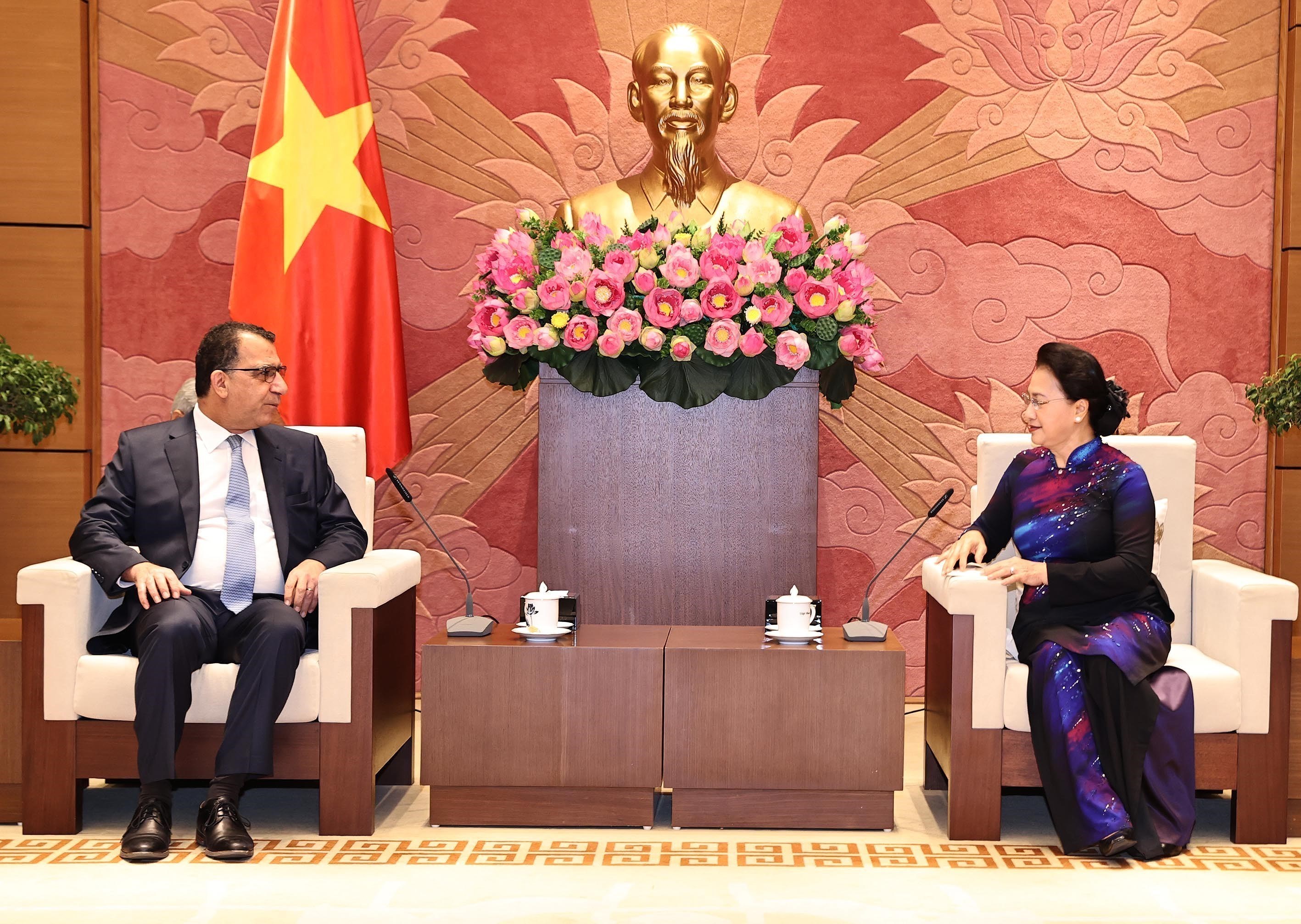 50 лет установления дипломатических отношении между Вьетнамом и Чили (25 марта 1971 г. - 25 марта 2021 г.) hinh anh 1