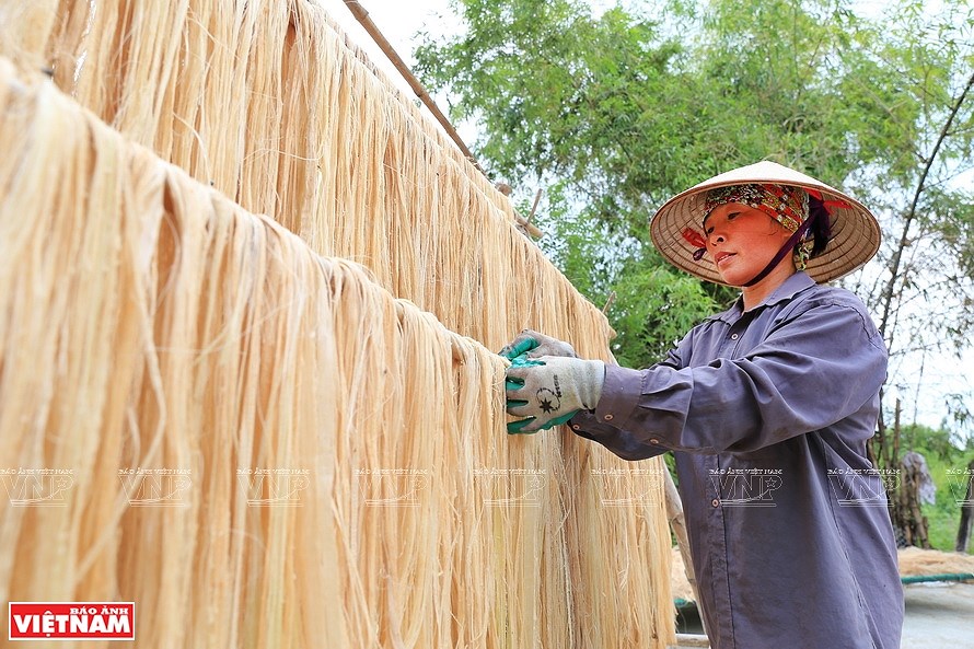 Вьетнамское банановое волокно завоевывает мировои рынок hinh anh 3