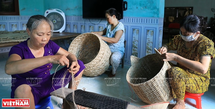 Вьетнамское банановое волокно завоевывает мировои рынок hinh anh 7