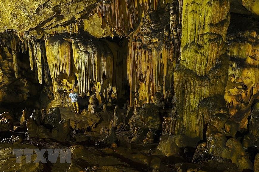 Пещера Ван Чинь - одна из самых больших и красивых пещер в провинции Ниньбинь hinh anh 1