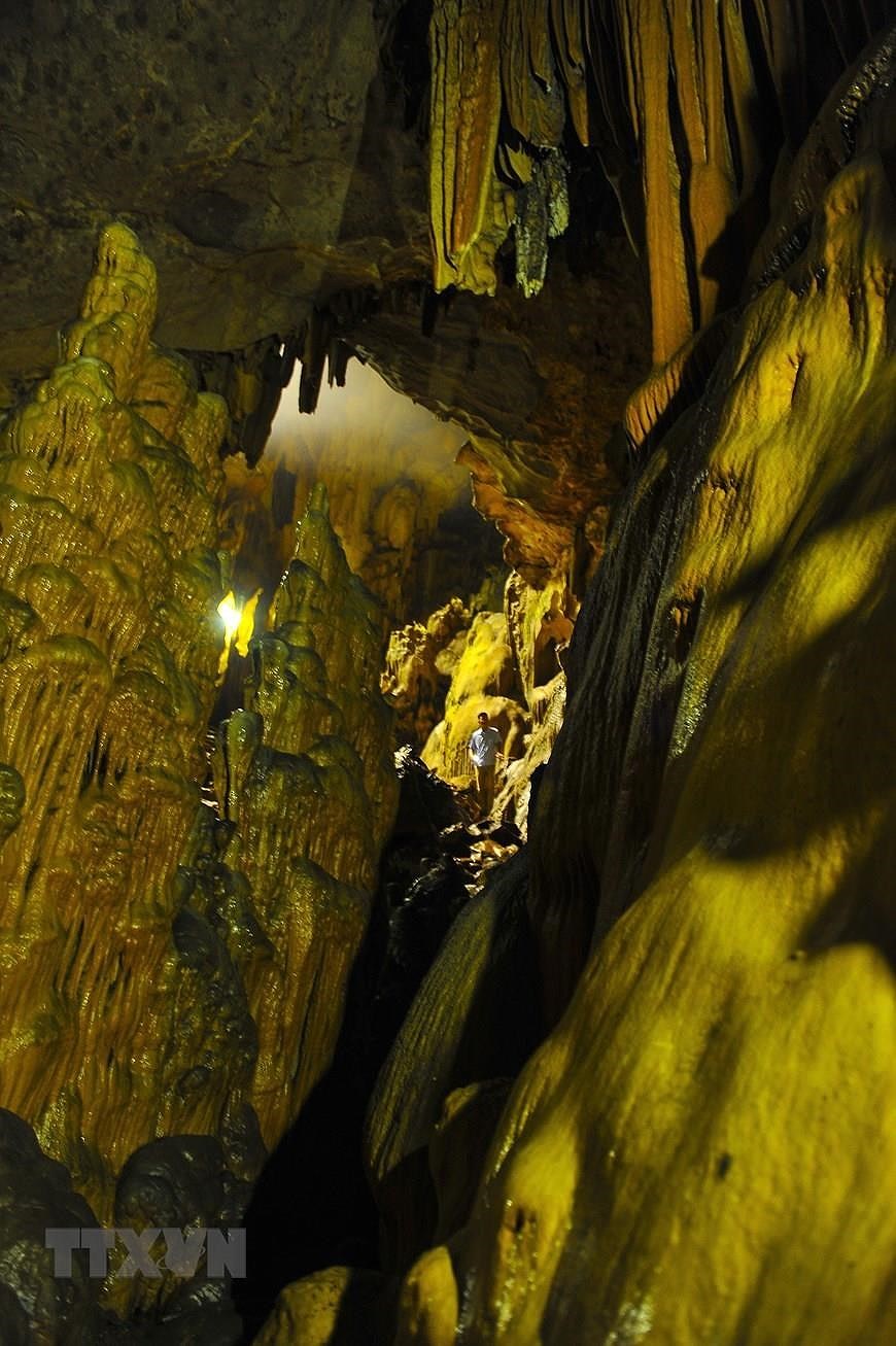 Пещера Ван Чинь - одна из самых больших и красивых пещер в провинции Ниньбинь hinh anh 2