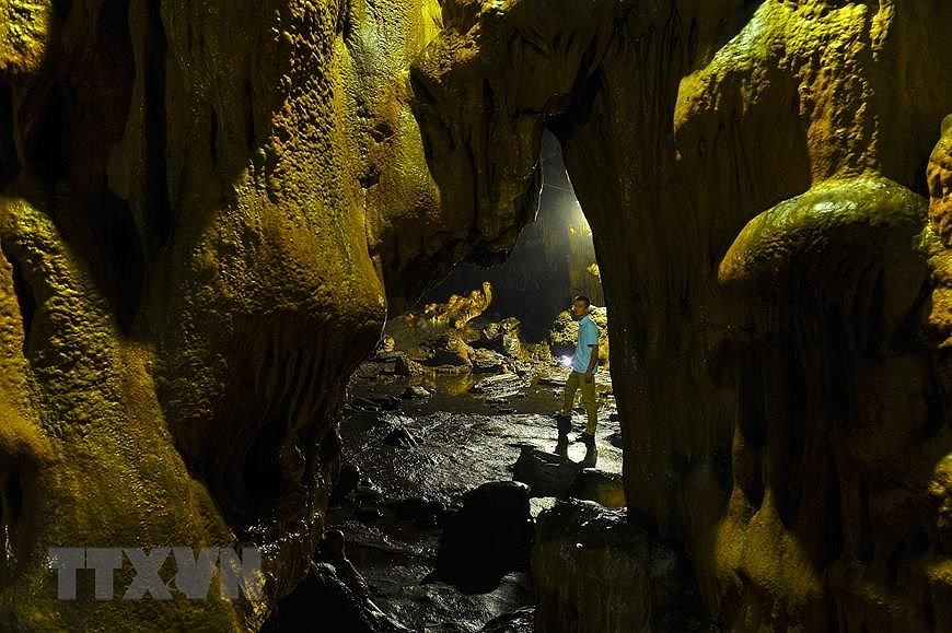 Пещера Ван Чинь - одна из самых больших и красивых пещер в провинции Ниньбинь hinh anh 3