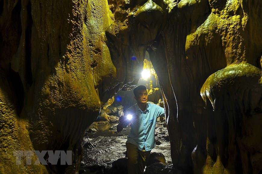 Пещера Ван Чинь - одна из самых больших и красивых пещер в провинции Ниньбинь hinh anh 5