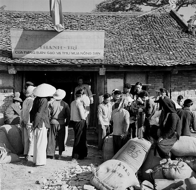 Строительство социализма на севере Вьетнама и борьба с США в Южном Вьетнаме (1954-1965) hinh anh 8