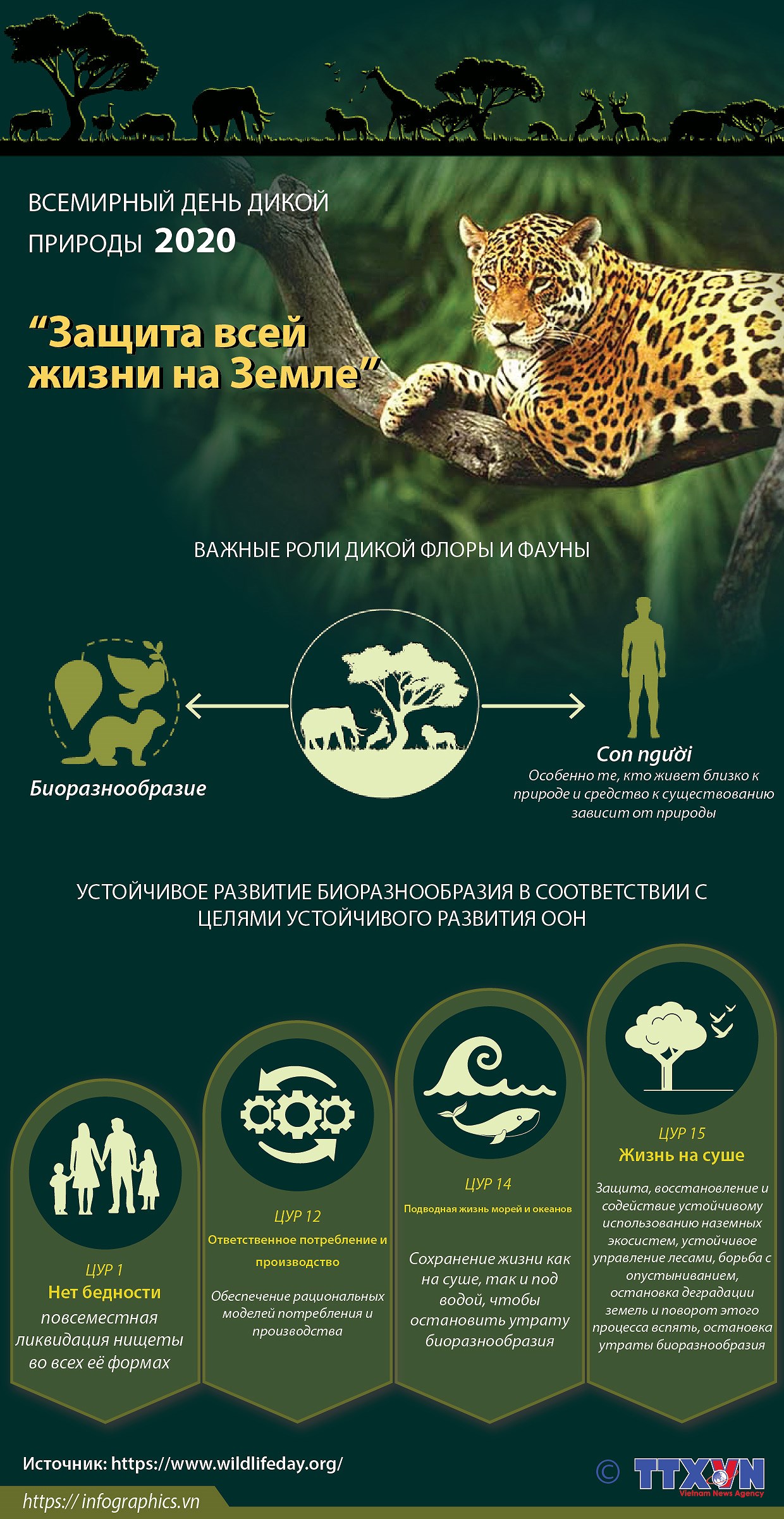 Всемирныи день дикои природы 2020 подчеркивает важность биоразнообразия hinh anh 1