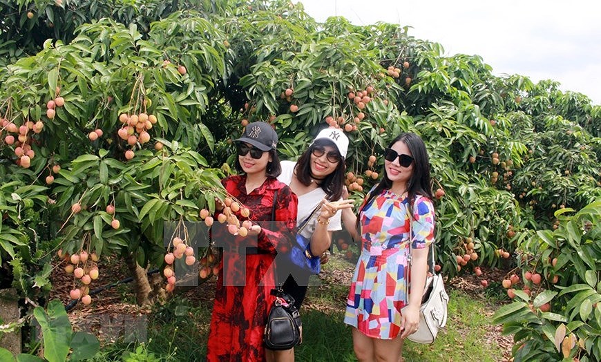 Вьетнам готовится снова принять иностранных туристов hinh anh 5