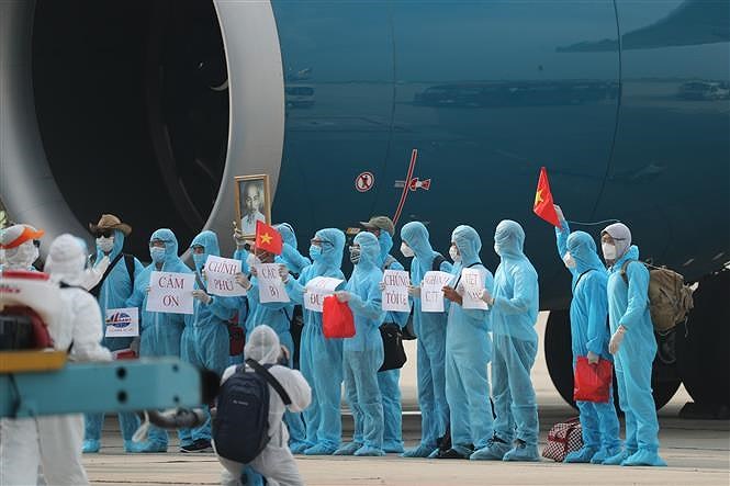 219 вьетнамских граждан были доставлены домои из Экваториальнои Гвинеи hinh anh 12