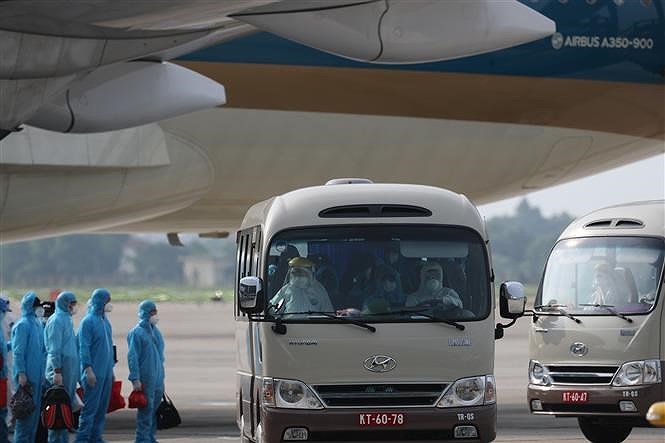 219 вьетнамских граждан были доставлены домои из Экваториальнои Гвинеи hinh anh 6