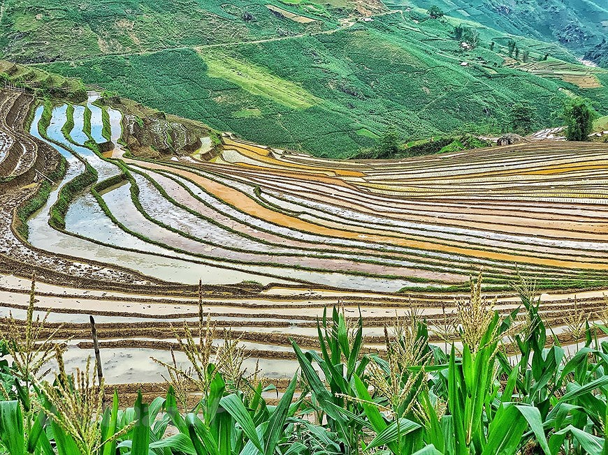 Террасные рисовые поля И Ти - мистическая красота на севере Вьетнама hinh anh 7