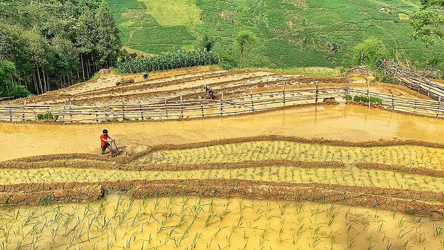 Террасные рисовые поля И Ти - мистическая красота на севере Вьетнама hinh anh 8